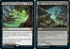 Magic The Gathering Agadeem's Awakening | Agadeem, The Undercrypt 090/280