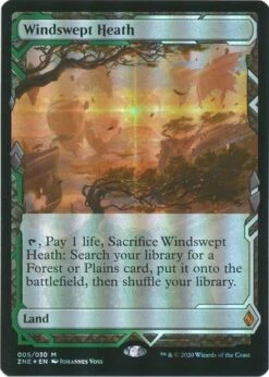 Magic The Gathering Windswept Heath 005/030 - Foil