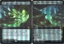 Magic The Gathering Agadeem's Awakening | Agadeem, The Undercrypt 336 - Extended Art Foil