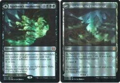Magic The Gathering Agadeem's Awakening | Agadeem, The Undercrypt 090/280 - Foil